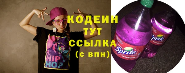 прущая мука Вяземский