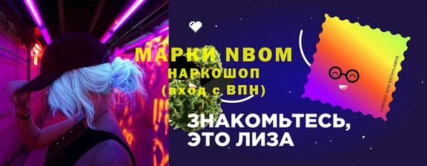 стаф Вязьма