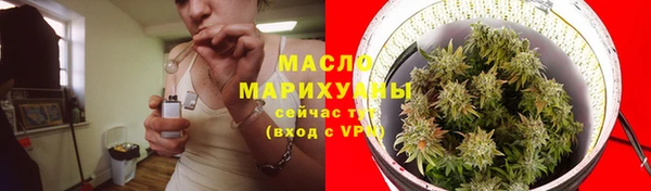 стаф Вязьма