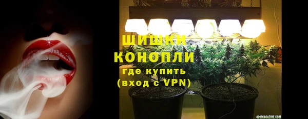 стаф Вязьма