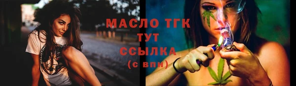 стаф Вязьма