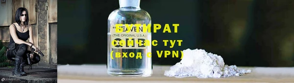 прущая мука Вяземский