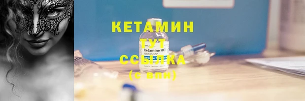 стаф Вязьма