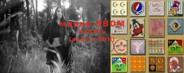 стаф Вязьма