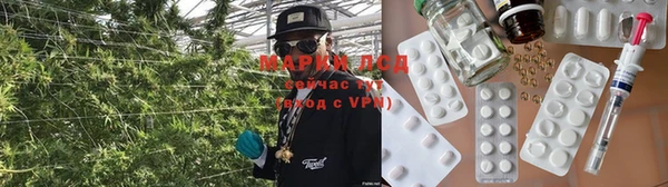 стаф Вязьма
