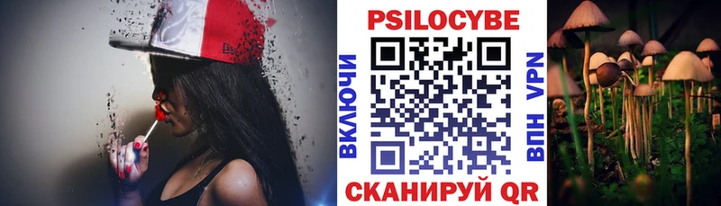 Галлюциногенные грибы Psilocybine cubensis  Купить  Славгород 
